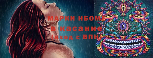 амф Зеленокумск