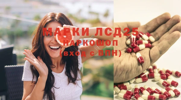 амф Зеленокумск