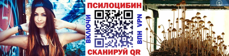 Купить закладки  Ликино-Дулёво  Галлюциногенные грибы Cubensis 